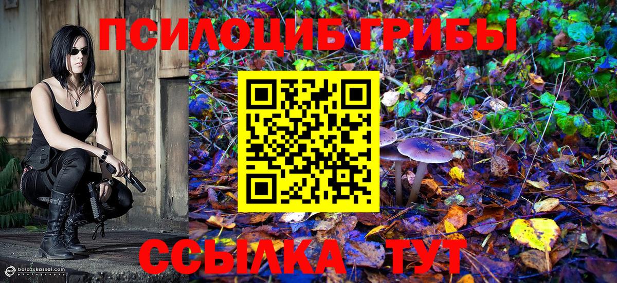 Псилоцибиновые грибы GOLDEN TEACHER Обнинск