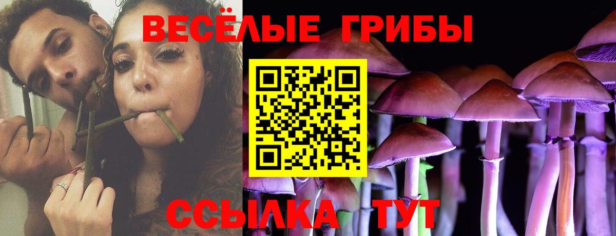 Псилоцибиновые грибы Magic Shrooms  Вход с VPN  как найти   Обнинск 